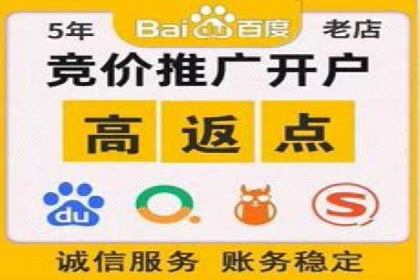 某某sem代运营公司助力企业实现线上营销目标
